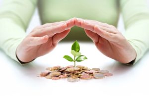 Hands protecting seedling growing from stacked coins